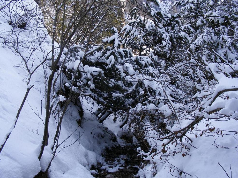 Alto Garda Bresciano, la Baita Segala